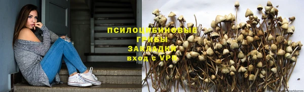 дживик Саяногорск