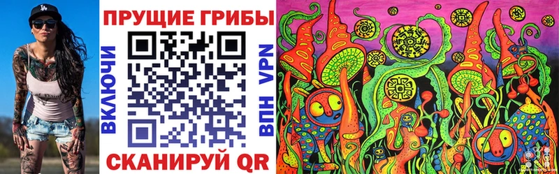 закладка Верещагино Галлюциногенные грибы мицелий
